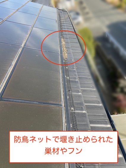 太陽光パネル　ネット　浮き上がり　外れ　はと　鳥の巣　再発