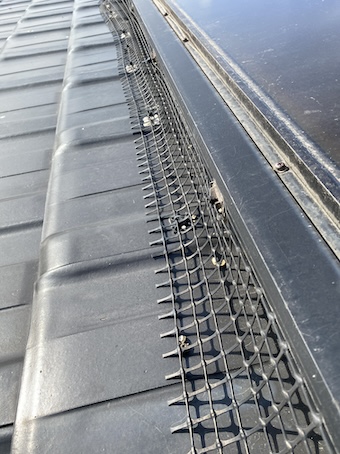 太陽光パネル　鳥よけネット　鳥の巣　対策　防鳥