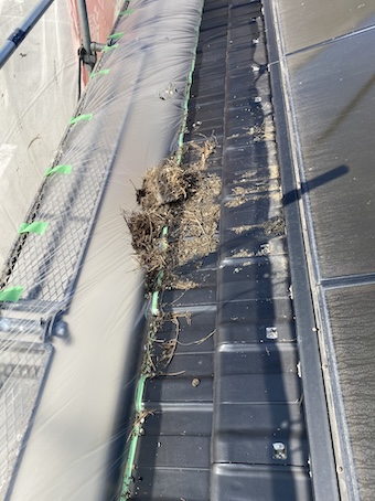 太陽光パネル　鳥の巣　屋根　浜松