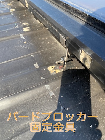 太陽光パネル　鳥の巣　浜松