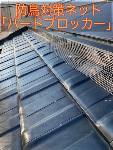 浜松市　中央区　太陽光パネル　防鳥　鳥の巣　対策　バードブロッカー　オールステンレス