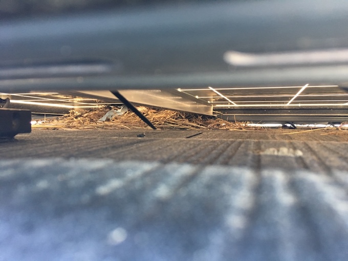 浜松市　中央区　太陽光パネル　鳥の巣　被害　カラーベスト　屋根