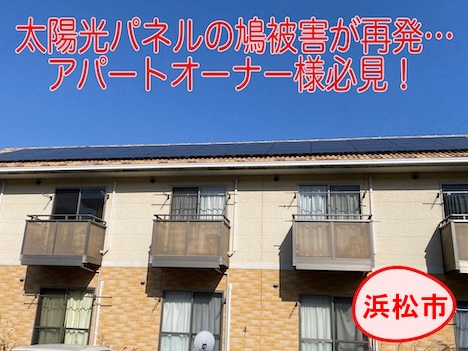 浜松市｜太陽光パネルの鳩被害が再発…アパートオーナー様必見の根本対策とは？