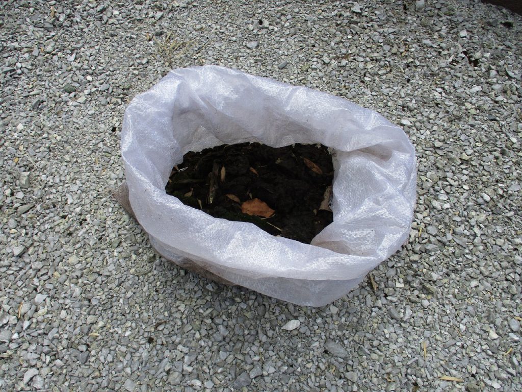 雨樋　清掃　落ち葉　撤去