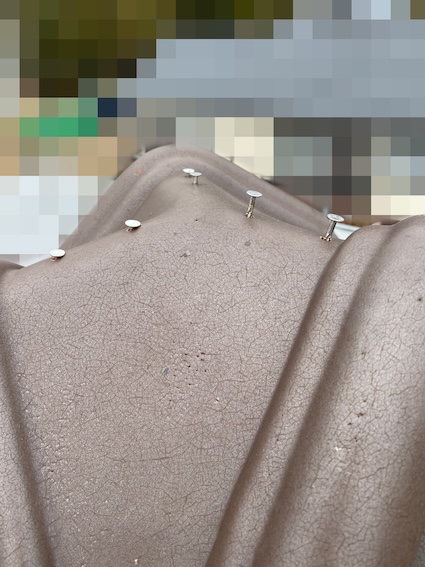 瓦　釘浮き　調査　点検　棟