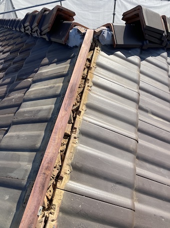 瓦　棟垂木　防腐処理　交換