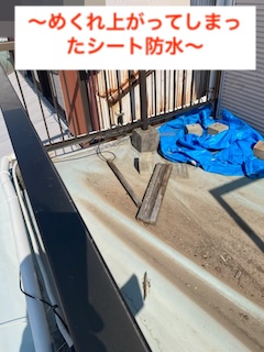 めくれ上がったシート防水の確認　浜松市