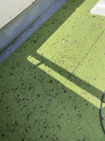 ベランダ　バルコニー　フン　はと