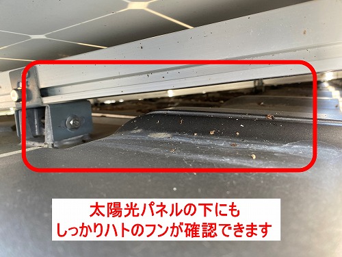 屋根　鳩　鳥の巣　被害　対策　ネット　営巣　太陽光パネル　浜松市