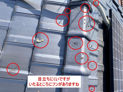 屋根　鳩　鳥の巣　被害　対策　ネット　営巣　太陽光パネル　浜松市