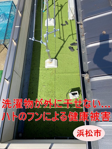 浜松市｜洗濯物が外に干せない…ハトのフンによる健康被害と瓦屋根や発電パネルへのダメージリスクをお伝えします