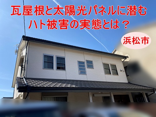 浜松市｜瓦屋根についているパネルに潜むハトの住処、ベランダが使えない原因と巣ができる理由まで詳しく解説