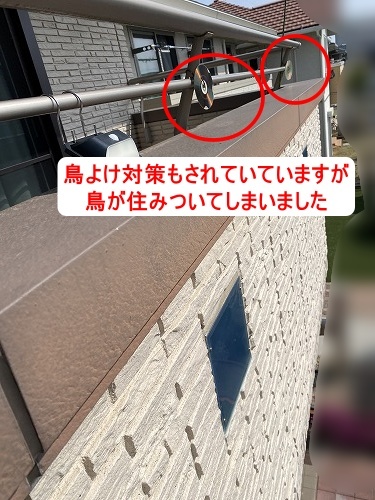 ハト　太陽光パネル　浜松市　鳥の巣　パネル下　
