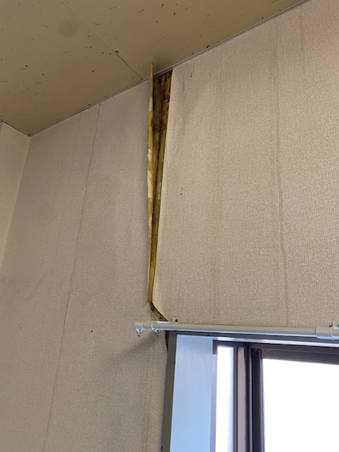 浜松市　雨漏り　調査　点検　天井　壁　しみ