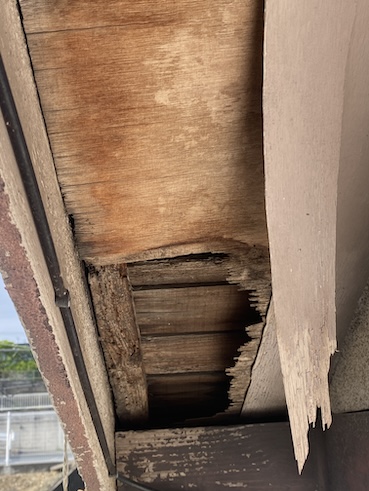 軒天　下地　痛み　劣化