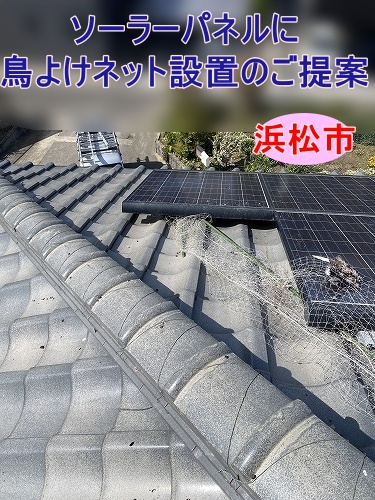 浜松市　ソーラーパネルの鳥よけ対策、バードブロッカー設置と雨樋清掃をご提案しました