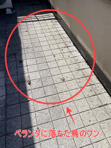 鳥の巣　防鳥対策　太陽光パネル　浜松市