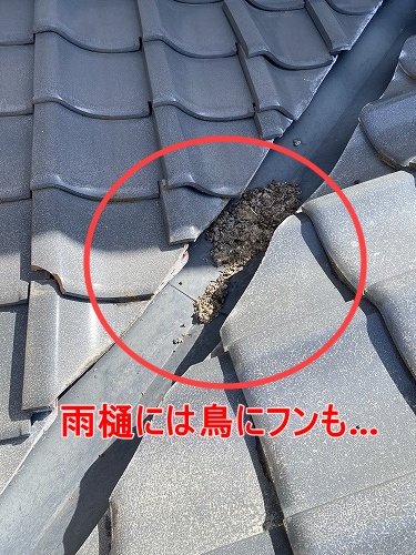 鳥の巣　防鳥対策　太陽光パネル　浜松市