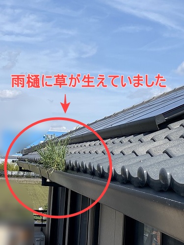 鳥の巣　防鳥対策　太陽光パネル　浜松市