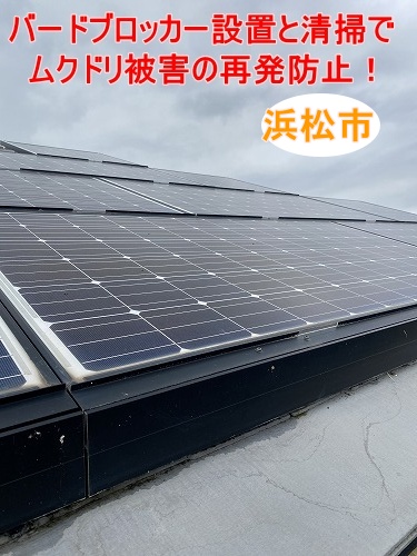 浜松市でPanasonic太陽光パネル下の鳥害対策をご提案、 バードブロッカー設置と清掃でムクドリ被害の再発防止！