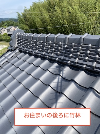 竹林　落ち葉　雨樋　詰まり