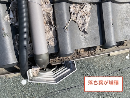 雨樋　詰まり　流れない　点検　落ち葉