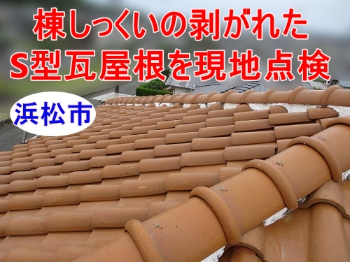 浜松市で瓦屋根の雨浸水調査を実施、棟の白い詰め物の剥がれたS型瓦屋根を現地点検
