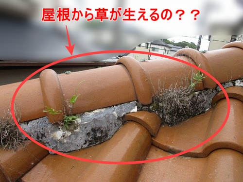 軒天　ヒビ　S型瓦屋根　軒天　浜松市