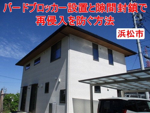 浜松市｜ソーラーパネルの鳥害対策｜バードブロッカー設置と隙間封鎖で再侵入を防ぐ方法