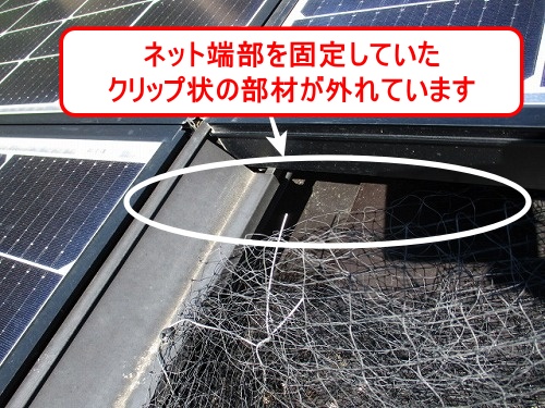 鳥の巣　防鳥対策　太陽光パネル　浜松市　ＳＨＡＲＰ