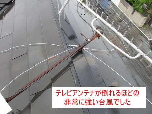 カバー板金　台風　劣化　火災保険　浜松市