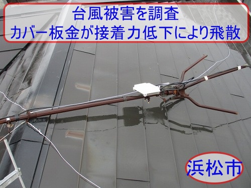 浜松市で台風被害を調査｜施工から約7年のカバー板金が接着力低下により飛散したカラーベスト屋根