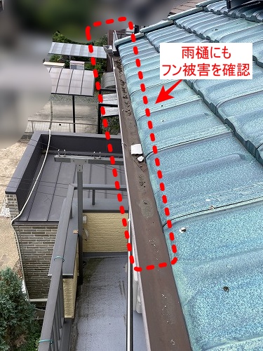 バードブロッカー　太陽光　フン被害　鳥害 浜松市　海外