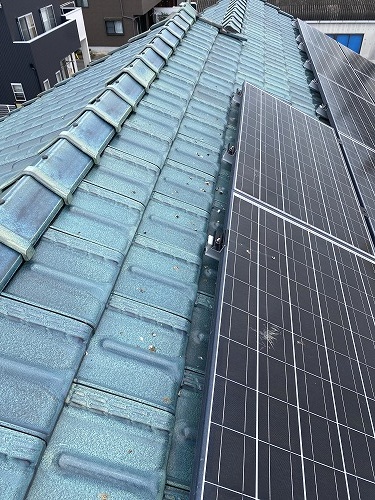 バードブロッカー　太陽光　フン被害　鳥害 浜松市　海外
