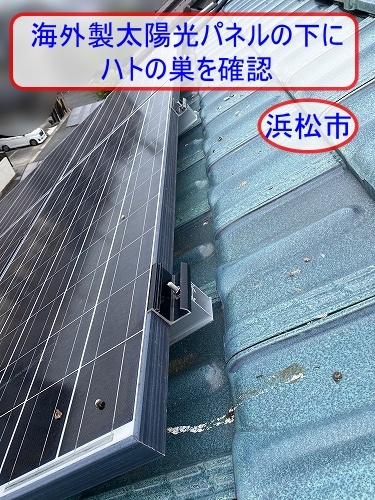 バードブロッカー　太陽光　フン被害　鳥害 浜松市　海外
