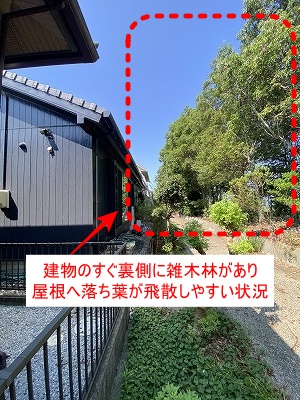 雨樋　落ち葉　雑木林　雨樋　湖西市