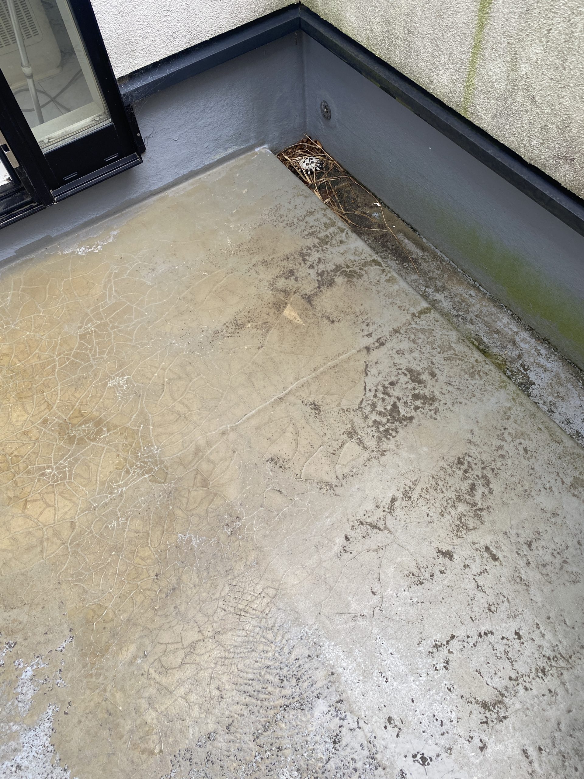 床面全体のひび割れを確認 ベランダ　浜松市