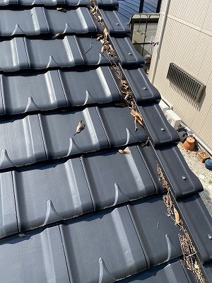 雨樋　落ち葉　雑木林　雨樋　湖西市