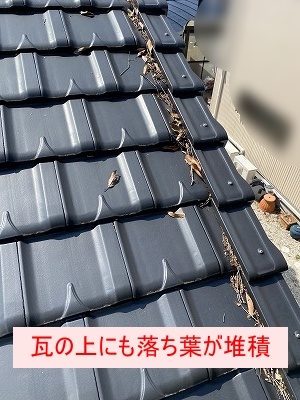 雨樋　落ち葉　雑木林　雨樋　湖西市