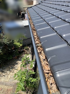 雨樋　落ち葉　雑木林　雨樋　湖西市