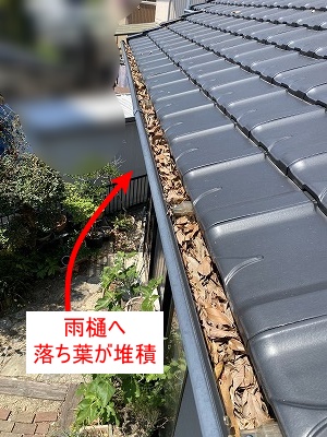 雨樋　落ち葉　雑木林　雨樋　湖西市