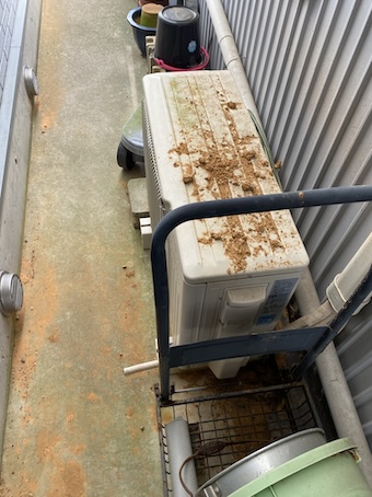 軒天　修理　雨漏り　瓦　隙間　浜松市
