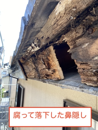 腐った鼻隠し　雨樋　落下　雨漏り　浜松