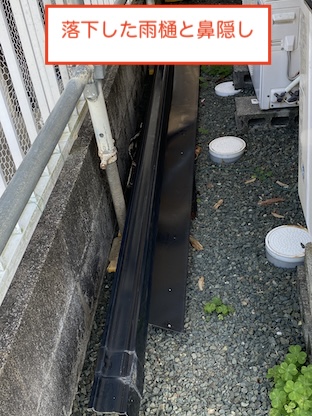 落下　雨樋　鼻隠し　浜松