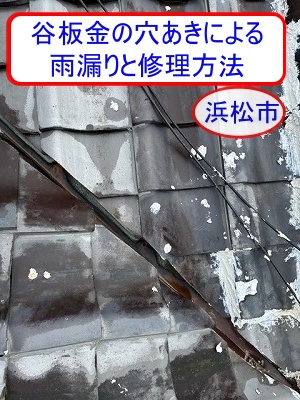 浜松市　和瓦屋根の谷板金穴あきによる雨漏り、瓦専門店が修理方法を解説します