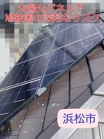 浜松市 太陽光パネル下の鳩被害の深刻なリスクを実績多数の専門店が徹底解説！
