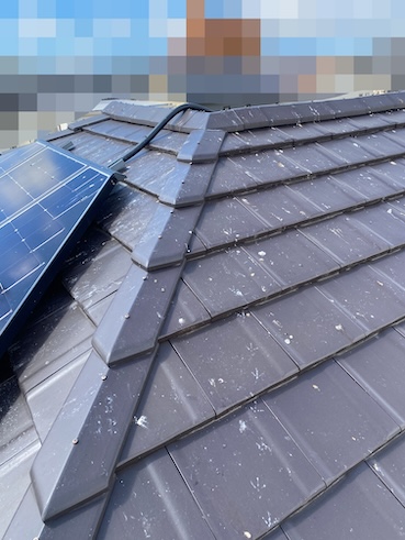 太陽光パネル　ハト　フン　汚れ