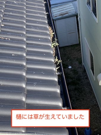 ソーラーパネル　太陽光　鳥の巣　浜松市