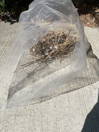 鳩の巣　撤去　ゴミ　浜松市