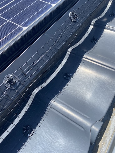 鳥よけ　ネット